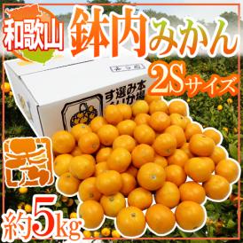 ”和歌山・有田産 鉢内みかん” 秀品 2Sサイズ 約5kg はちうちみかん【予約 11月末以降】 送料無料