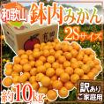和歌山・有田産 ”鉢内みかん” 訳あり 2Sサイズ 約10kg はちうちみかん【予約 11月末以降】 送料無料