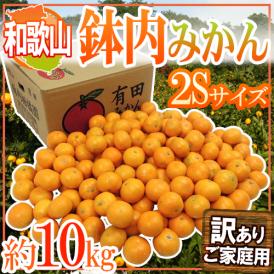 和歌山・有田産 ”鉢内みかん” 訳あり 2Sサイズ 約10kg はちうちみかん【予約 11月末以降】 送料無料