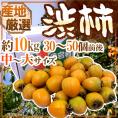 干し柿・吊るし柿用 ”渋柿” 中～大サイズ 約10kg 「愛宕柿」「大和柿」いずれかを旬な産地で♪【予約 11月中旬以降】 送料無料