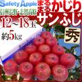 ”長野産 まるまるかじりサンふじ” 秀品 大玉12～18玉 約5kg 産地箱【予約 11月末以降】 送料無料