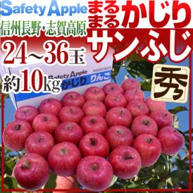 長野産 ”まるまるかじりサンふじ” 秀品 大玉24～36玉 約10kg【予約 11月末以降】 送料無料
