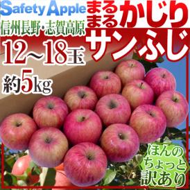 ”長野産 まるまるかじりサンふじ” ちょっと訳あり 大玉12～18玉 約5kg【予約 11月末以降】 送料無料