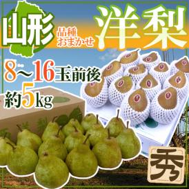 山形産 ”洋梨” 秀品 8～16玉前後 約5kg 品種おまかせ ラ・フランス、オーロラ、シルバーベルなど【予約 10月中旬以降】 送料無料