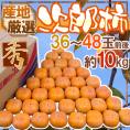 ”次郎柿” 秀品 36～48玉前後 約10kg 産地厳選【予約 10月下旬以降】 送料無料