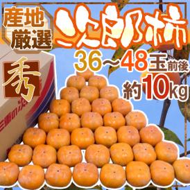 ”次郎柿” 秀品 36～48玉前後 約10kg 産地厳選【予約 10月下旬以降】 送料無料