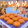 ”次郎柿” 秀品 12～16玉前後 約3.3kg 産地厳選【予約 10月下旬以降】 送料無料