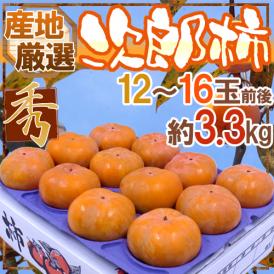 ”次郎柿” 秀品 12～16玉前後 約3.3kg 産地厳選【予約 10月下旬以降】 送料無料