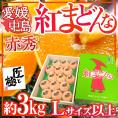 愛媛中島産 ”紅まどんな” 赤秀品 大玉 Lサイズ以上 約3kg 「匠と極」シリーズ【お歳暮・予約 12月以降】 送料無料