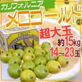 カリフォルニア産 ”メロゴールド” 超大玉 14～23玉 約15kg【予約 11月末以降】 送料無料