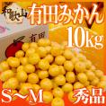 和歌山産 ”有田みかん” 秀品 S～Mサイズ 約10kg ありだみかん【予約 11月末以降】 送料無料