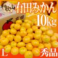 和歌山産 ”有田みかん” 秀品 Lサイズ 約10kg ありだみかん【予約 11月末以降】 送料無料