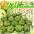 イスラエル産 ”スウィーティー” 大玉 12～18玉 約6kg【予約 1月以降】 送料無料