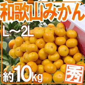 ”和歌山みかん” 秀品 L～2Lサイズ 約10kg【予約 11月末以降】 送料無料
