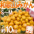 ”和歌山みかん” 秀品 S～Mサイズ 約10kg【予約 11月末以降】 送料無料