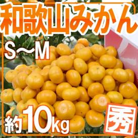 ”和歌山みかん” 秀品 S～Mサイズ 約10kg【予約 11月末以降】 送料無料