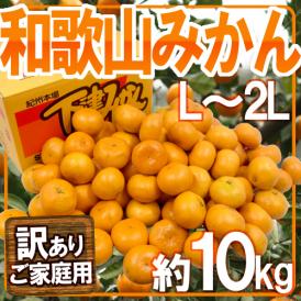 ”和歌山みかん” 訳あり L～2Lサイズ 約10kg【予約 11月末以降】 送料無料