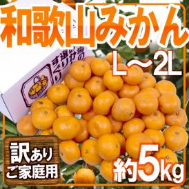 ”和歌山みかん” 訳あり L～2Lサイズ 約5kg【予約 11月末以降】 送料無料