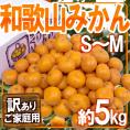 ”和歌山みかん” 訳あり S～Mサイズ 約5kg【予約 11月末以降】 送料無料