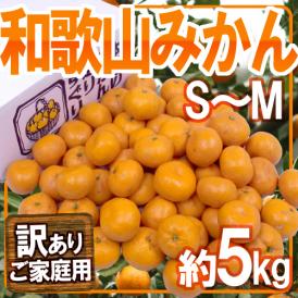 ”和歌山みかん” 訳あり S～Mサイズ 約5kg【予約 11月末以降】 送料無料