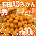 和歌山産 ”AQみかん” 秀品 L/2Lサイズ 約10kg 有田みかん【予約 11月末以降】 送料無料