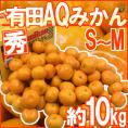 和歌山産 ”AQみかん” 秀品 S~Mサイズ 約10kg 有田みかん【予約 11月末以降】 送料無料
