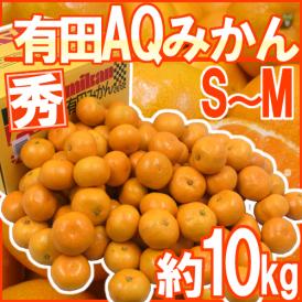 和歌山産 ”AQみかん” 秀品 S～Mサイズ 約10kg 有田みかん【予約 11月末以降】 送料無料