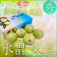 土佐高知 ”水晶文旦” 秀品 大玉5〜7玉 約3kg【予約 10月以降】 送料無料