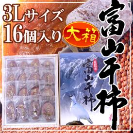 富山産 ”富山干柿” 3Lサイズ 超大粒 16個入 大箱 化粧箱【予約 12月中旬以降】 送料無料