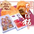 富山産 ”あんぽ柿” 三社柿使用 L～2Lサイズ 8～9玉入 化粧箱【予約 11月以降】 送料無料