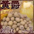北海道 北見産 じゃがいも ”黄爵” 秀品 大玉L～2Lサイズ 約10kg 男爵芋【予約 8月末以降】 送料無料