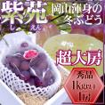 岡山産 ”紫苑ぶどう” 秀品 超大房 1房 約1kg以上 化粧箱【予約 10月下旬以降】 送料無料