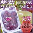 岡山産 ”紫苑ぶどう” 秀品 大房 1房 約700g以上 化粧箱【予約 10月下旬以降】 送料無料