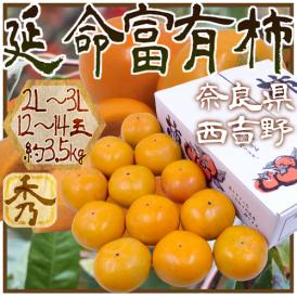”奈良産 延命富有柿” 秀品 2L～3L 12～14玉 約3.5kg【予約 11月以降】 送料無料