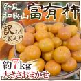 和歌山・奈良産 ”富有柿” 訳あり 約7kg 大きさおまかせ【予約 11月以降】 送料無料