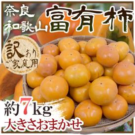 和歌山・奈良産 ”富有柿” 訳あり 約7kg 大きさおまかせ【予約 11月以降】 送料無料