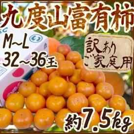 和歌山県九度山産 ”富有柿” 訳あり M～L 約7.5kg【予約 11月以降】 送料無料