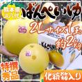 熊本県八代特産 ”晩白柚” ばんぺいゆ 秀品 2Lサイズ 1玉 約2kg 化粧箱入り【予約 12月以降】 送料無料