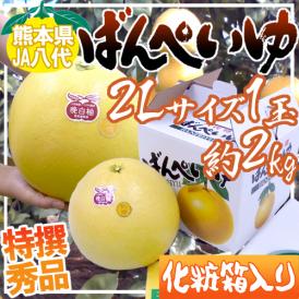 熊本県八代特産 ”晩白柚” ばんぺいゆ 秀品 2Lサイズ 1玉 約2kg 化粧箱入り【予約 12月以降】 送料無料