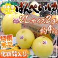 熊本県八代特産 ”晩白柚” ばんぺいゆ 秀品 2Lサイズ 2玉 化粧箱入り【予約 12月以降】 送料無料
