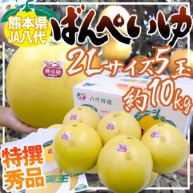 熊本県八代特産 ”晩白柚” ばんぺいゆ 秀品 2Lサイズ 5玉 約10kg 化粧箱【予約 12月以降】 送料無料