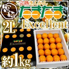 宮崎県 ”完熟きんかん たまたまエクセレント EX” 2Lサイズ 約1kg【予約 2月中旬以降】 送料無料