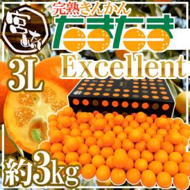 宮崎県 ”完熟きんかん たまたまエクセレント EX” 3Lサイズ 約3kg【予約 2月中旬以降】 送料無料