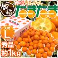 宮崎県 ”完熟きんかん たまたま” 秀品 Lサイズ 約1kg 化粧箱【予約 2月中旬以降】 送料無料