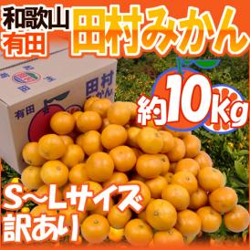 和歌山有田産 ”田村みかん” 訳あり S～Lサイズ 約10kg【予約 11月末以降】 送料無料