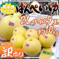 熊本県八代特産 ”晩白柚” ばんぺいゆ ちょっと訳あり 2Lサイズ 5玉 約10kg 無印【予約 12月以降】 送料無料