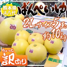 熊本県八代特産 ”晩白柚” ばんぺいゆ ちょっと訳あり 2Lサイズ 5玉 約10kg 無印【予約 12月以降】 送料無料