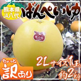 ”熊本県八代特産 晩白柚” ばんぺいゆ ちょっと訳あり 大玉2Lサイズ 約2kg【予約 12月以降】