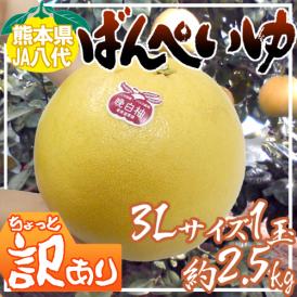 熊本県八代特産 ”晩白柚” ばんぺいゆ ちょっと訳あり 超特大3Lサイズ 約2.5kg【予約 12月下旬以降】