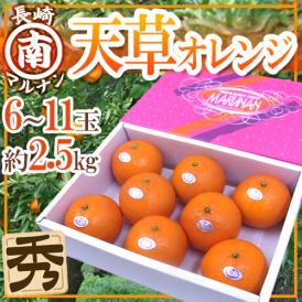 長崎 マルナン ”天草オレンジ” 秀品 6～11玉 約2.5kg 化粧箱【予約 11月下旬以降】 送料無料